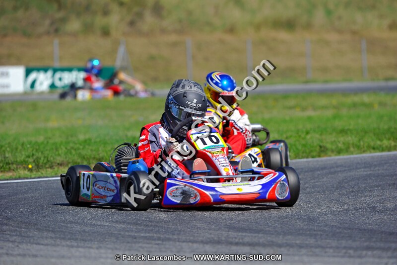 DSC_ (1327).jpg